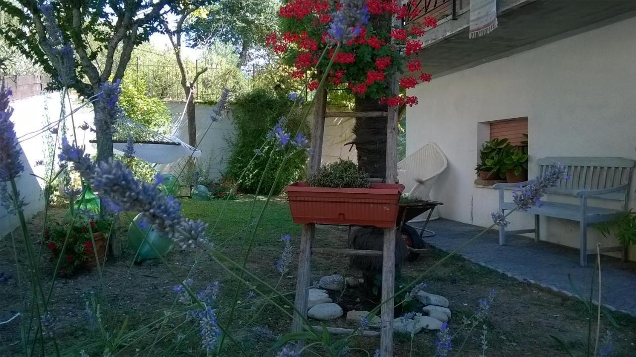B&B Teranga Montecarotto Eksteriør bilde